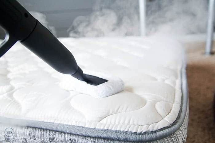 Mattress Cleaning Service