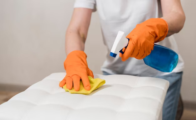 Mattress Cleaning Service