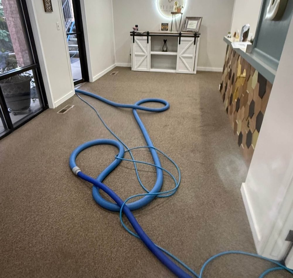 Residential Carpet Cleaning (1)